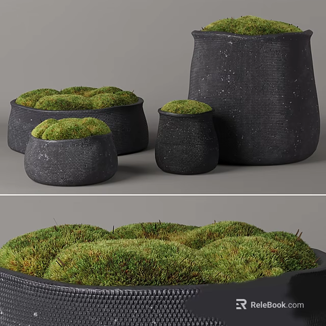 Bonsai Potted Plants With Black Woven Planters And Green Moss For Decoration 3d model 
