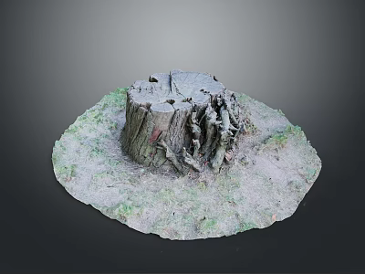 Wooden Tree Stump With Stone Base And Natural Moss Covered Ground 3d model