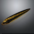 Yellow And Black Striped Eel With Long Slender Body On Gray Background With Visible Reflection