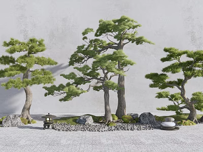 Pine Trees In Natural Garden With Rocks Lantern And Green Moss 3d model