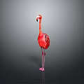 Pink Flamingo Standing Gracefully With Detailed Feathers On Plain Gray Background