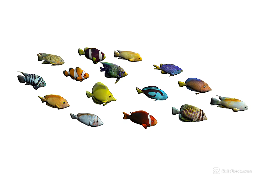 Various Colorful Tropical Fish Species With Vibrant Colors And Diverse Patterns 3d model 
