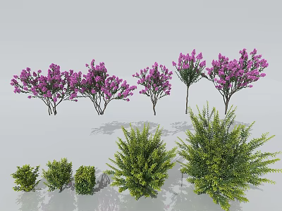Ornamental Trees Featuring Purple Flower Clusters And Lush Green Foliage In Diverse Growth Forms 3d model
