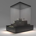Cultural Center Exhibition Display With Glass Showcase And Illuminated Artifacts