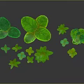 Vibrant Green Plants With Various Leaf Shapes And Sizes On Gray Background