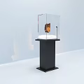 Transparent Display Cabinet With Black Base And White Platform Displaying Art Exhibit