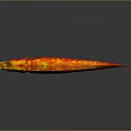Bright Red and Yellow Arowana Fish With Shiny Scales and Reflection