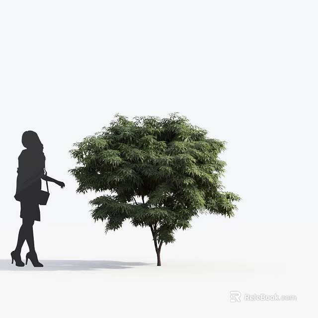 Silhouette of a woman with bag approaching arbor tree with lush green leaves 3d model 