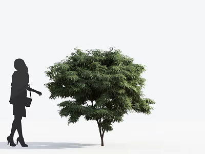 Silhouette of a woman with bag approaching arbor tree with lush green leaves 3d model