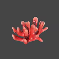 Red Coral Polyps Marine Animal With Branch Structure And Textured Surface