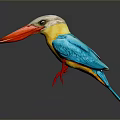 Colorful Kingfisher Bird With Blue Wings Yellow Belly Red Beak And Red Feet