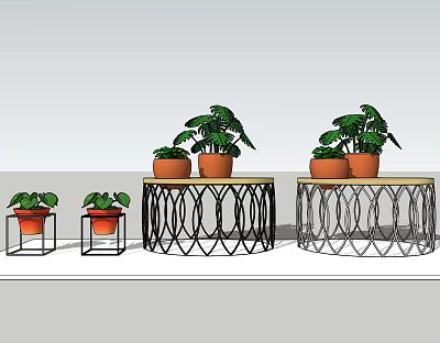 Bonsai Potted Plants On Decorative Metal Stands With Green Leafy Foliage 3d model