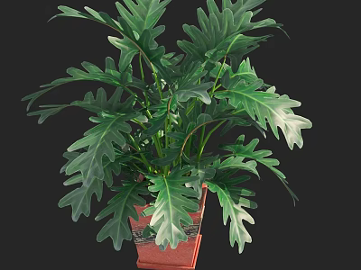 Potted Bonsai Plant With Green Lobed Leaves In Square Clay Pot 3d model