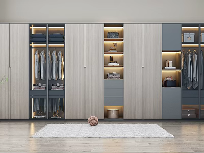 Modern Light Wood And Gray Wardrobe With Hanging Clothes Drawers And Open Shelves Lighting 3d model