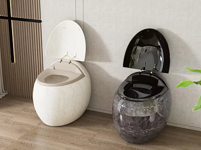 Modern Dual Toilets With White And Black Marble Textured Bodies In Interior Design 3d model