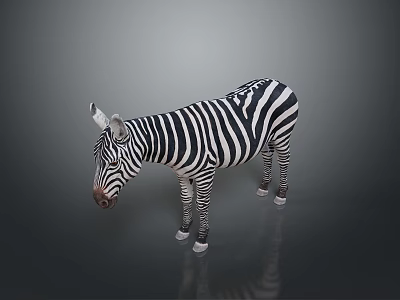 3D Rendered Game Movie Character Black White Striped Zebra on Gray Background with Reflection 3d model