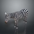 3D Rendered Game Movie Character Black White Striped Zebra on Gray Background with Reflection