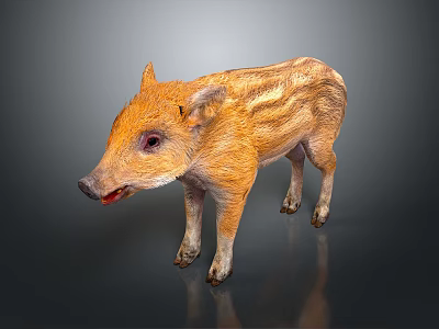 Baby Wild Boar with Orange Yellow Stripes Standing on Dark Background with Reflection 3d model
