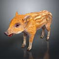 Baby Wild Boar with Orange Yellow Stripes Standing on Dark Background with Reflection