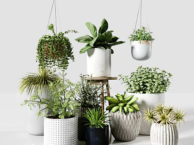 Hanging And Tabletop Potted Plants With Green Foliage In Various White Containers 3d model