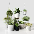Hanging And Tabletop Potted Plants With Green Foliage In Various White Containers