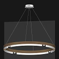 Modern Circular Pendant Light With Wooden Frame And White Inner Ring In Gray Ceiling Interior 3d model