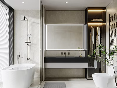 Modern Bathroom Interior With White Bathtub Vanity Mirror Shower Fixture And Green Plant 3d model