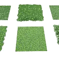 Various Green Plant Mats With Different Lush Grass And Floral Designs