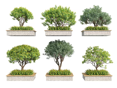 Multiple Rectangular Tree Planters With Lush Green Trees And Stone Borders 3d model