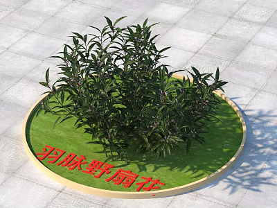 Yumai Yeshanhua Tree Growing In Circular Green Area With Gray Paved Ground 3d model