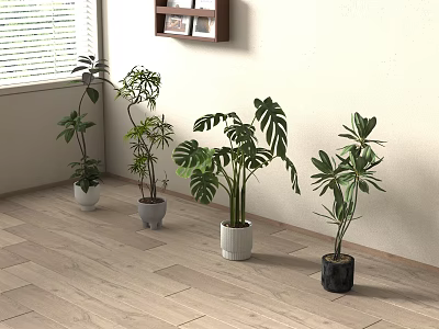 Decorative Various Leafy Indoor Potted Plants Including Monstera On Wooden Floor Near Window 3d model