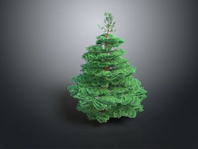 Tall Green Pine Tree With Lush Dense Foliage Isolated On Dark Background 3d model