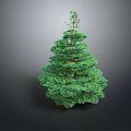 Tall Green Pine Tree With Lush Dense Foliage Isolated On Dark Background