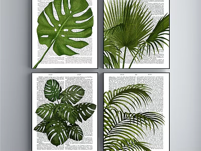 Botanical Plant Paintings With Monstera And Palm Leaves On Newspaper Background 3d model
