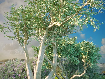 Tall Arbor with Curved Trunks Lush Green Foliage Under Blue Sky and White Clouds 3d model