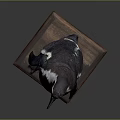 Realistic Mounted Taxidermy Penguin Standing In Natural Posture On Polished Wooden Base