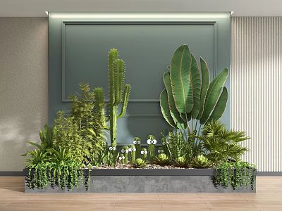 Indoor Bonsai Potted Plants With Cactus Large Leaf Greenery In Concrete Planter 3d model