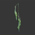 Green Pea Pods Hanging On Stem With Gray Gradient Background And Reflection
