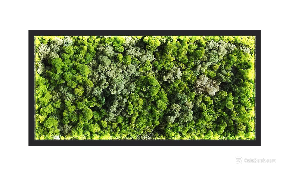 Indoor Decorative Living Plant Wall With Lush Various Green Plant Foliage 3d model 