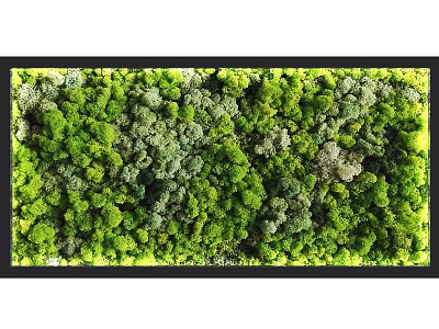 Indoor Decorative Living Plant Wall With Lush Various Green Plant Foliage 3d model