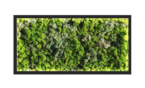 Modern Plant Wall Moss Plant Wall 3d model