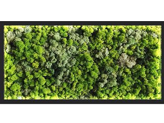 Modern Plant Wall Moss Plant Wall 3d model