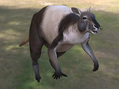 Unique Reptile Species With Brown And White Body Standing On Green Grassland 3d model