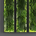 Vertical Green Plant Wall with Lush Foliage and Black Frame Dividers for Modern Interior Decor