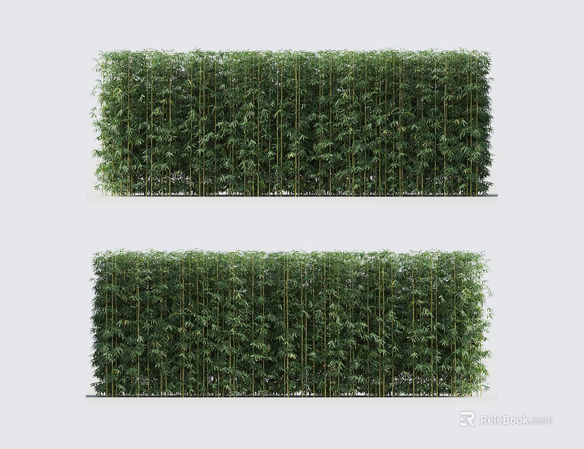 Lush Green Bamboo Plants Create Natural Garden Privacy Screen Fence 3d model 