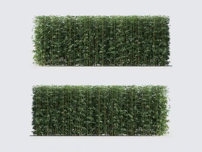Lush Green Bamboo Plants Create Natural Garden Privacy Screen Fence 3d model