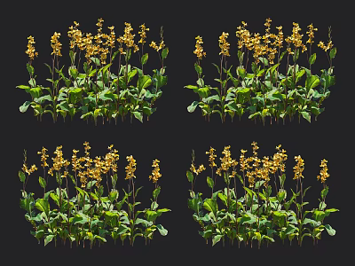 Vibrant Yellow Flowers With Lush Green Leaves In Natural Plant Arrangement 3d model