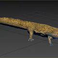 Yellow Spotted Reptile With Long Body Short Legs And Open Mouth In Natural Habitat