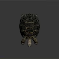 Realistic land tortoise with black and yellow patterned shell on gray background 3d model