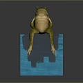 Frog Poison Frog Game Frog Reptile Cold Blooded Animal Reptile 3d model